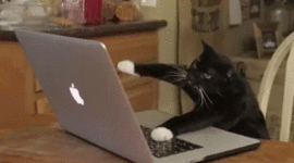 Timeline: Historia tema 5