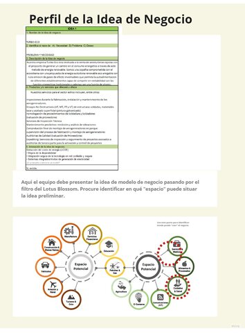 Perfil de la idea de negocio
