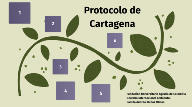 PROTOCOLO DE CARTAGENA