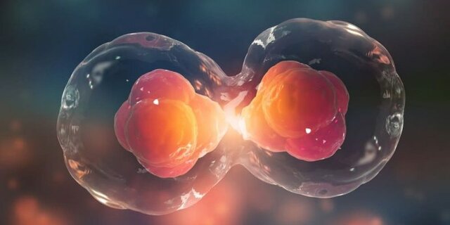 Florecen las Eucariotas