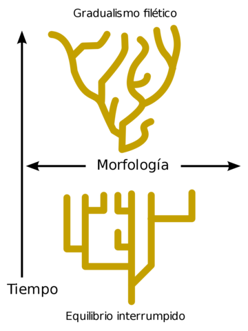 La teoría del equilibrio puntuado