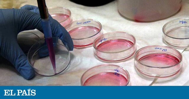 La primera terapia génica aprobada en un paciente humano
