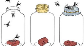Timeline: Session 3: Spontaneous generation