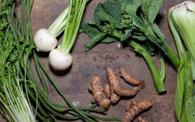 Asian Influemce Part 5