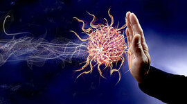 Timeline: Introducción a la Inmunología