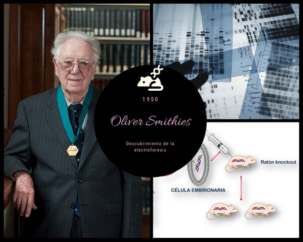 Oliver Smithies (Electroforesis)