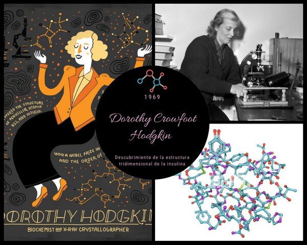 Dorothy Crowfoot Hodgkin (estructura tridimensional de la insulina)