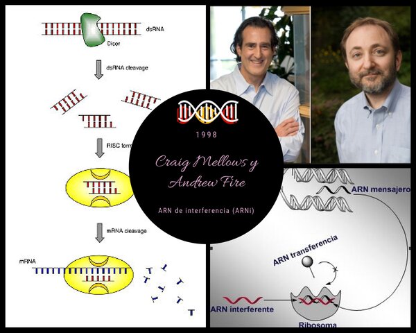 Craig Mellows y Andrew Fire (ARNi)