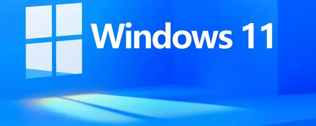 Windows 11