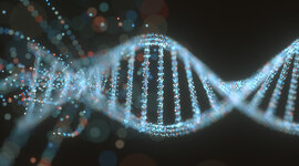 Timeline: Spontaneous generation