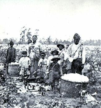 Põllumajanduse perekond