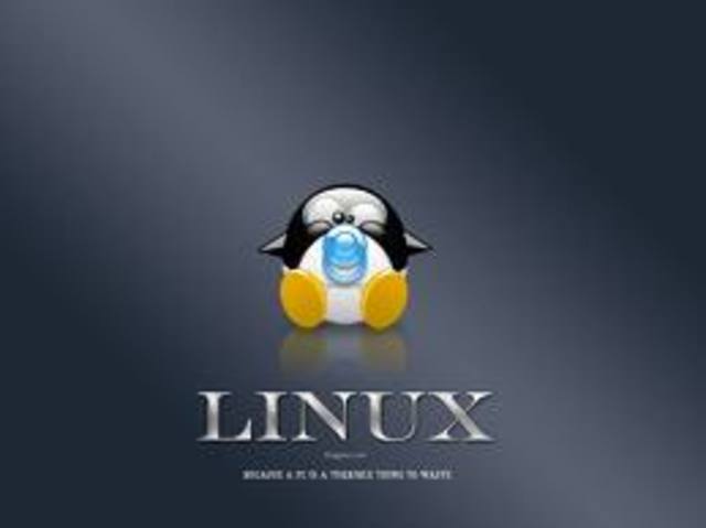 MAS DE 100 DESARROLLADORES TRABAJAN SOBRE LINUS