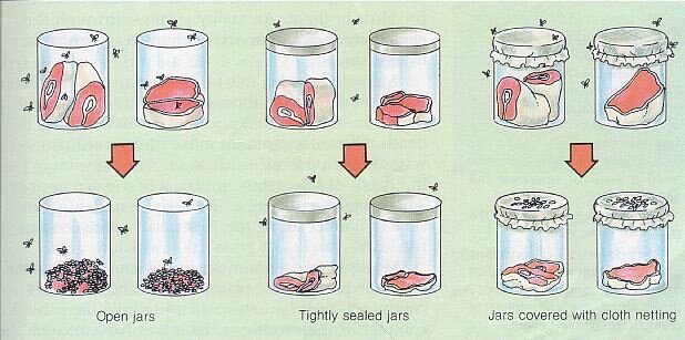 Redi’s experiment