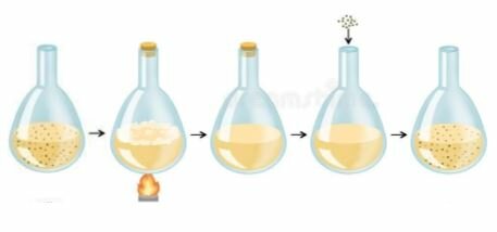 Criticism from Spallanzani