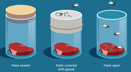 Timeline: Spontaneous Generation.