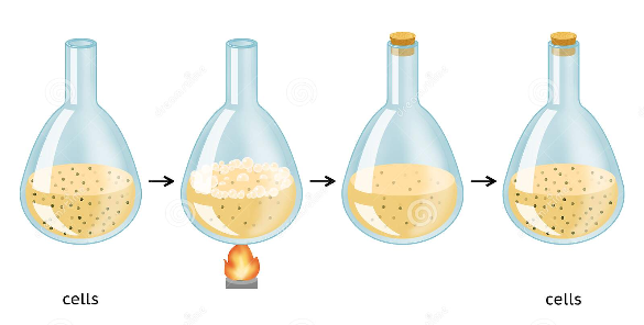 Needham’s rebuttal
