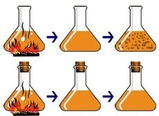 Criticism from Spallanzani