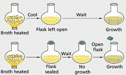 Criticism from Spallanzani