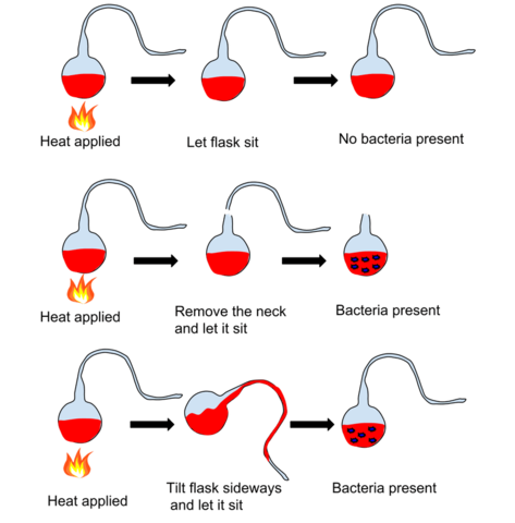 Spontaneous generation to rest