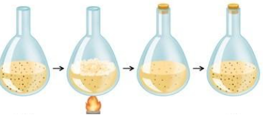 NEEDHAM’S REBUTTAL