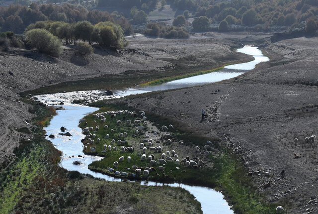 La contaminación de las aguas