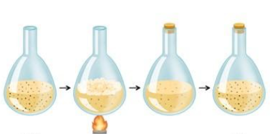 Needham's experiment