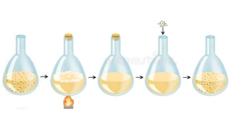 Spallazani's experiment