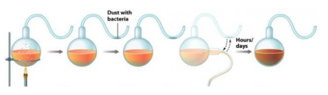 Pasteur's experiment