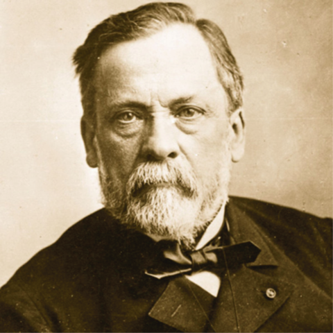 Pasteur's S-Curved Bottles Experiment