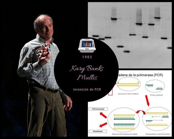 Kary Banks Mullis (PCR)