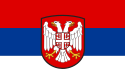 Gobierno de Salvación Nacional de Serbia