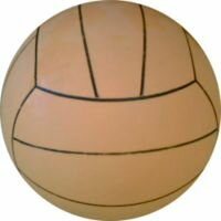 Balón de waterpolo.