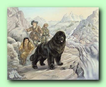 Louisiana Purchase and Lewis and Clark