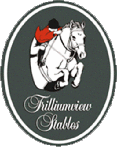 Started Horseback Riding Again