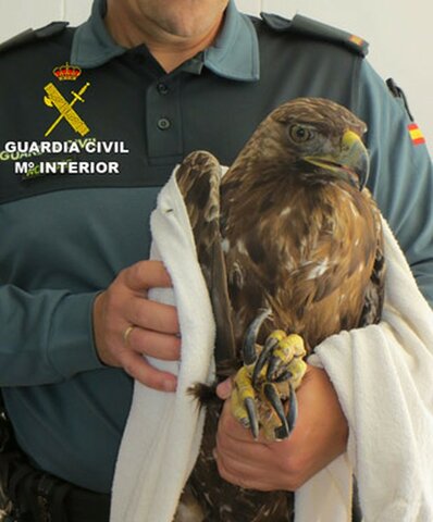 EN PELIGRO DE EXTINCIÓN