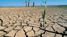 Timeline: Evolución de  la artificialización , la contaminación , la erosión y la desertificación del suelo