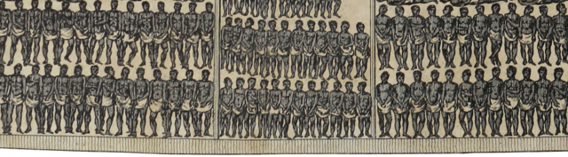 The Atlantic Slave Trade