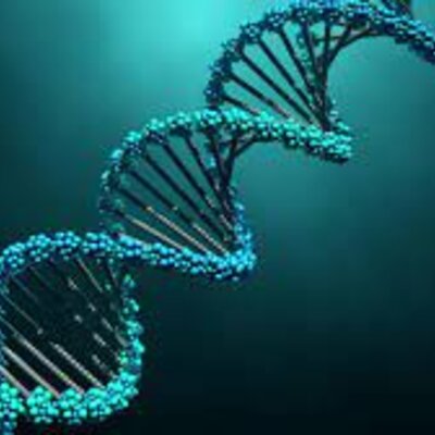 Timeline: DNA DENBORA LERROA (Ekaitz Iglesias eta Alex Agüero)