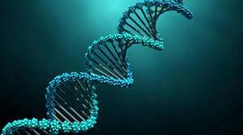 Timeline: DNA DENBORA LERROA (Ekaitz Iglesias eta Alex Agüero)