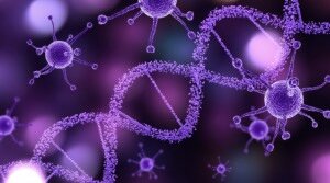 Minbiziaren genoma sekuentzia osatzen da