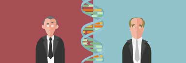 Watson eta Crick-en DNA-ren 3D moduloa