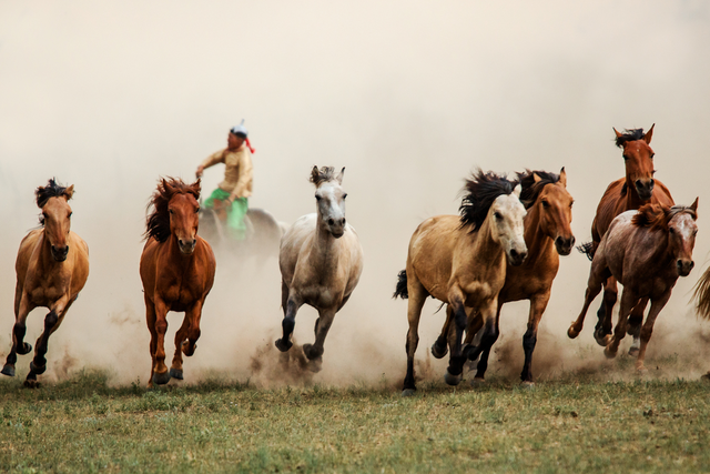 Hyperborea invents horse riding