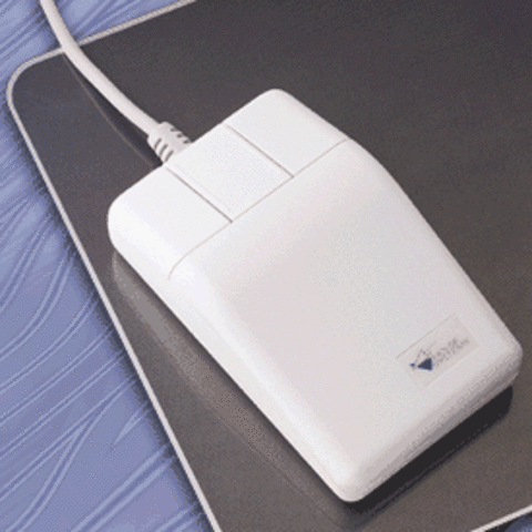 Computer Mouse & Windows