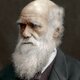 Charlesdarwin 5c2c3d7e46e0fb0001a343e3