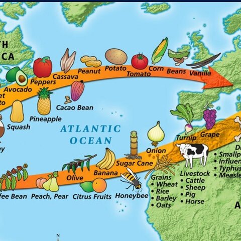 The Columbian Exchange