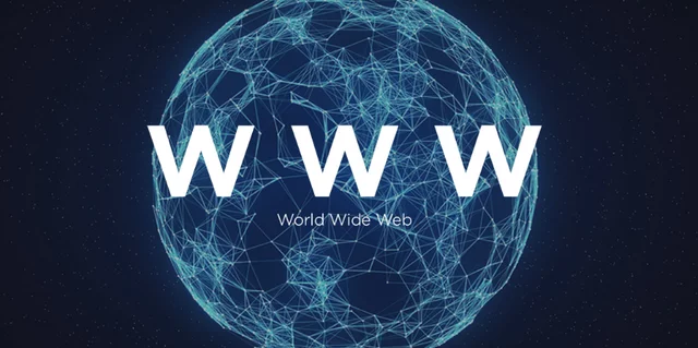 WWW ( World Wide Web )