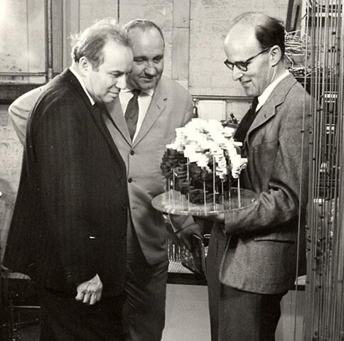 DNA informazio genetikoaren eramailea