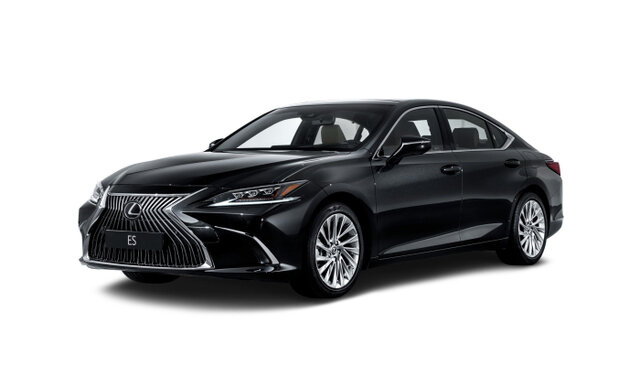 Рост и дальнейшее развитие