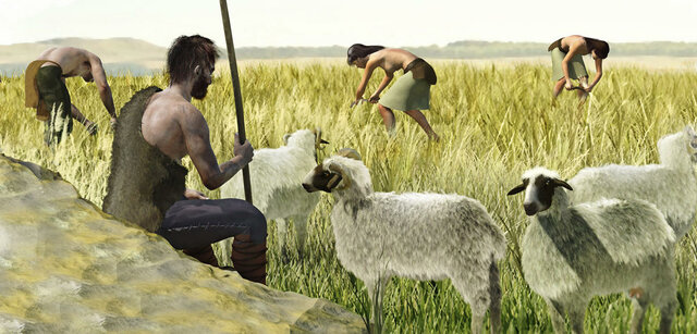 Rome creates animal husbandry