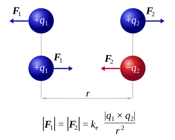 La loi de Coulomb